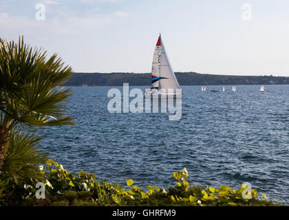 Segelboot in der Adria in der Nähe der Küste, Piran, Istrien, Slowenien. Stockfoto