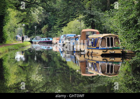 Narrowboats vor Anker am Monmouthshire und Brecon Canal am Goytre Wharf in der Nähe von Abergavenny, Südwales, Cymru, UK - Juli Stockfoto