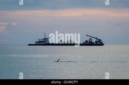 Riviera Beach, Florida, USA. 11. August 2016. Ein Schwimmer geht vor der Küste von Ocean Reef Park auf Singer Island, wo ein Lastkahn bereitet bereitstellen '' Andrea Riff. © Allen Eyestone/der Palm Beach Post/ZUMA Draht/Alamy Live-Nachrichten Stockfoto