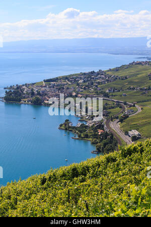 (160811)--LAVAUX, 11. August 2016 (Xinhua)--Foto aufgenommen am 11. August 2016 zeigt die schönen Sommer-Szene in den Weinbergen im Lavaux in der Westschweiz. Lavaux Weinbergterrasse erstreckt sich über etwa 30 km entlang der Süd-nördlichen Ufer des Sees Leman von Chateau de Chillon, am östlichen Stadtrand von Lausanne in der Region Waadt hat seit 28. Juni 2007 auf der UNESCOs Liste des Weltkulturerbes eingetragen. (Xinhua/Xu Jinquan) Stockfoto