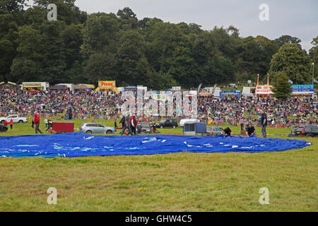 Bristol, UK. 11. August 2016. Heißluftballons sind ausgelegt auf dem Rasen wie Bristol International Balloon Fiesta in Gang Credit kommt: Keith Larby/Alamy Live News Stockfoto