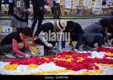 Brüssel, Belgien. 12. August 2016. die Marke der Blumenteppich in Brüssel Credit: Stephane Van Cauwenberghe/Alamy Live News Stockfoto