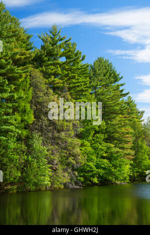 Reservoir #5, West Hartford Stauseen, West Hartford, Connecticut Stockfoto