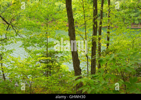 Reservoir #3, West Hartford Stauseen, West Hartford, Connecticut Stockfoto