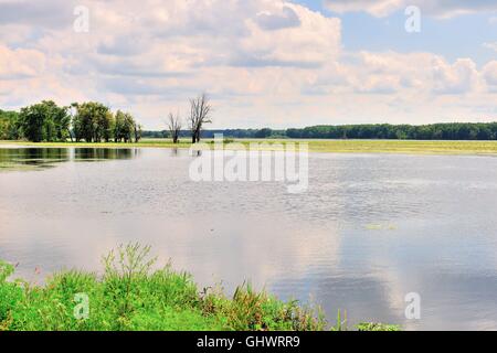 Das große Wasser der Mississippi River Wildwuchs in und um Streifen Land in einen flachen Einlass in der Savanne, Illinois, USA. Stockfoto