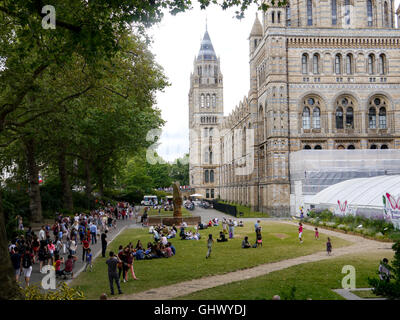 Menschen wandern und entspannen auf dem Rasen neben dem Natural History Museum, London, England Stockfoto