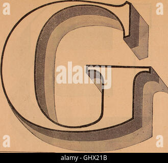 Dieses 1901 illustrierte Musterbuch zeigt Palm's Patent-Transferbriefe, Ornamente und Handelsdesigns, die für verschiedene Anwendungen wie Schilder, Wagen, Autos und Maschinen verwendet werden. Stockfoto