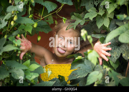 Kleines Mädchen hamming und zeigt Zunge heraus spähen hinter dem Grün. Stockfoto