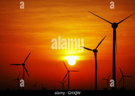 Silhouette der Windkraftanlage. Morgendliche Aussicht von Tamil Nadu, Indien Stockfoto