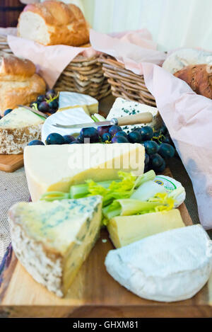 Vertikale Blick auf eine Auswahl an Käsesorten auf eine Käseplatte mit Beilagen. Stockfoto
