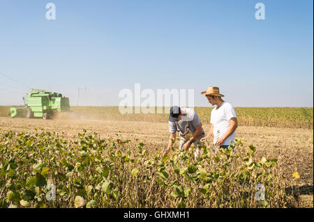 Junglandwirte in Soja-Felder Stockfoto