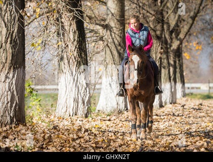 Junges Mädchen reiten durch den Wald Stockfoto