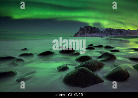 Die Aurora Borealis über Uttakleiv Strand auf den Lofoten in Nord-Norwegen im Winter. Stockfoto