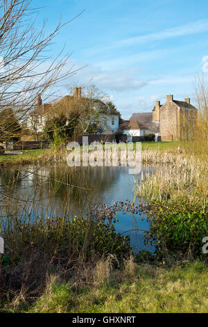 Teiche auf dem Dorfplatz in Frühlingssonne am Frampton auf Severn, Gloucestershire, UK Stockfoto