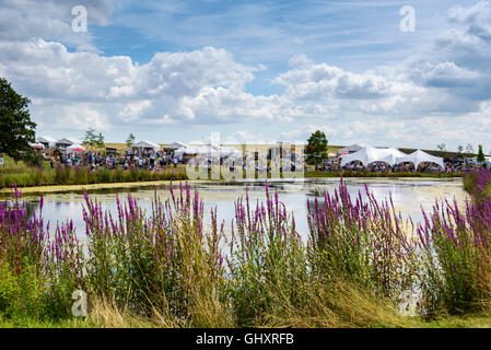 Sommer Blumenschau in Hyde Hall. Stockfoto