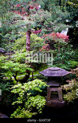 Detail der Garten im Innenhof in der Nomura Samurai Haus in Kanazawa, Japan. Stockfoto