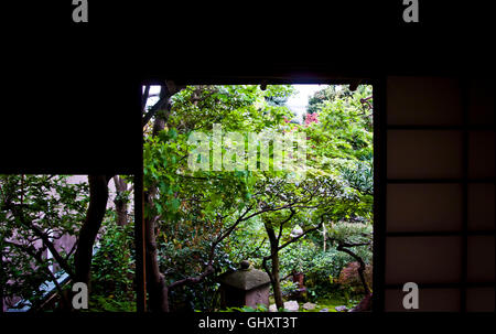 Ein Blick auf den Garten im Innenhof in der Nomura-Samurai-Haus in Kanazawa, Japan. Stockfoto