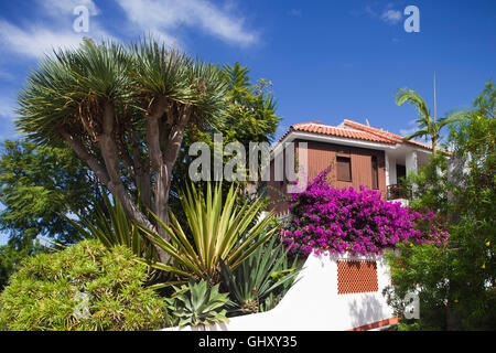 Stadt von Puerto De La Cruz, Teneriffa, Kanarische Inseln, Spanien, Europa Stockfoto