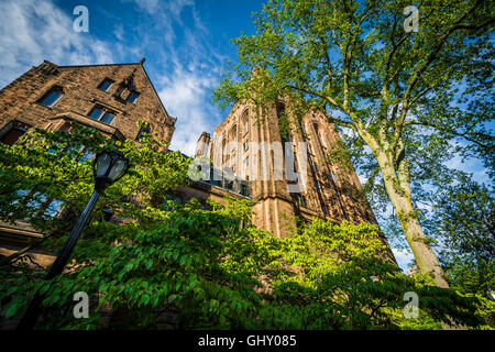 Bingham Hall auf dem Campus der Yale University in New Haven, Connecticut. Stockfoto