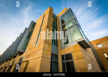 Gebäude auf dem Campus der Yale University in New Haven, Massachusetts. Stockfoto