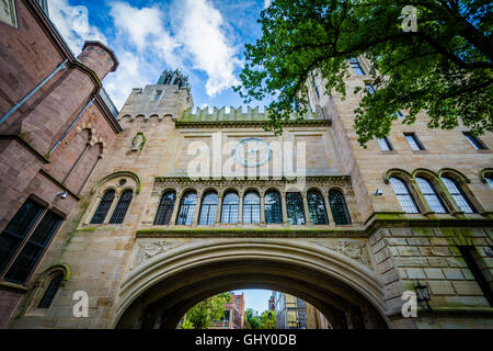 Die High Street Bogen an der Yale University in New Haven, Connecticut. Stockfoto