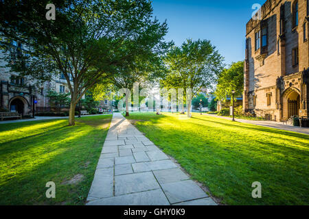 Gehweg und Gebäude auf dem Campus der Yale University in New Haven, Connecticut. Stockfoto