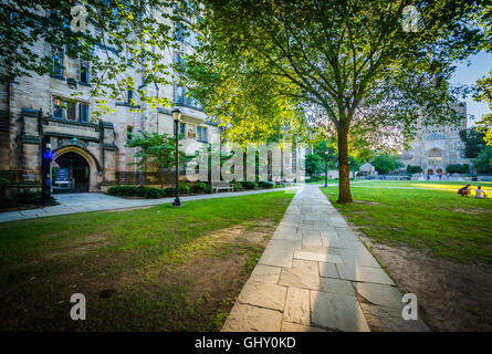 Gehweg und die Calhoun College Gebäude auf dem Campus der Yale University in New Haven, Connecticut. Stockfoto