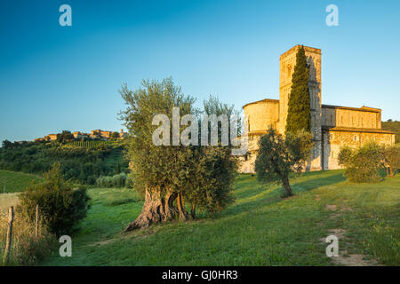 Abtei von Antimo, Montalcino, Toskana, Italien Stockfoto