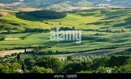 das Val d ' Orcia in der Nähe von Pienza, Toskana, Italien Stockfoto