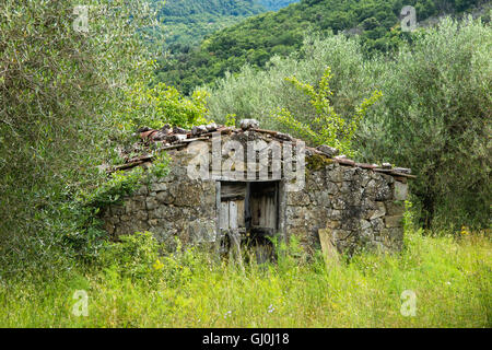 eine verfallene Hütte nr Castel del Piano, Grosseto, Toskana, Italien Stockfoto