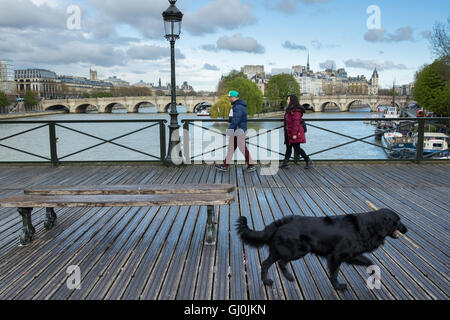 ein Hund mit einem Stock auf der Pont des Arts, Paris, Frankreich Stockfoto