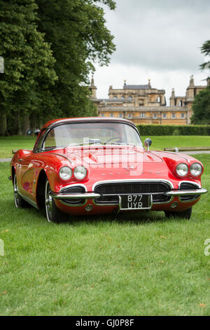 1962 Chevrolet Corvette. Amerikanische Oldtimer Stockfoto