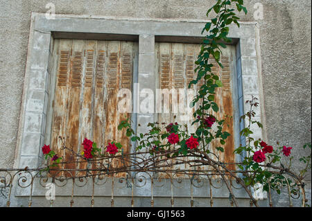 Fensterläden auf einem Haus in Frankreich Stockfoto