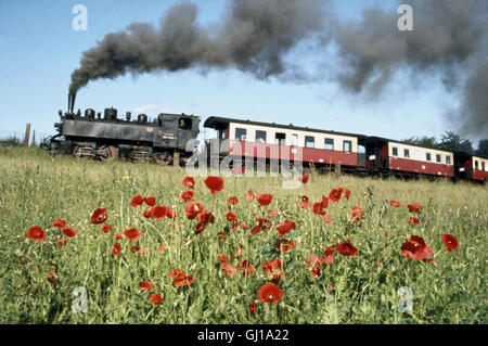 Eine Wende des zwanzigsten Jahrhunderts 0-4-4-0 t Hammers auf die Meterspur Selketabahn in Deutschlands Harzer Bergen, Juli 1977. Stockfoto