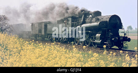 Italienische Eisenbahn Franco Crosti-boilered Klasse 742 2-8-0 Nr. 301 führt eine Langlaufloipe Fracht zwischen Stockfoto