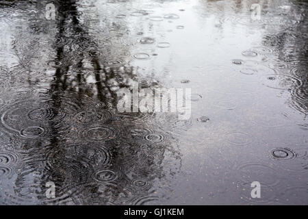 Regentropfen Plätschern in einer Pfütze mit Baum-Reflexion Stockfoto