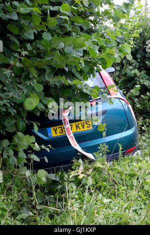 ein Auto bleibt begraben in eine Hecke nach dem gescheiterten Versuch der scharfen Kurve auf einem Land Straße England Großbritannien zu verhandeln Stockfoto