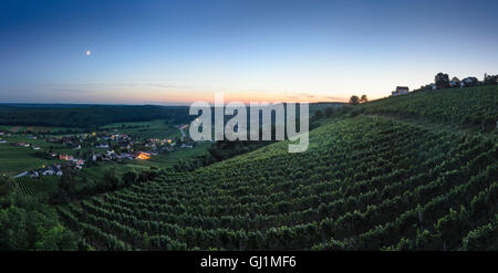 Deutsch Schützen-Eisenberg: Hill Eisenberg mit Weinberg bei Sonnenuntergang, Österreich, Burgenland, Stockfoto