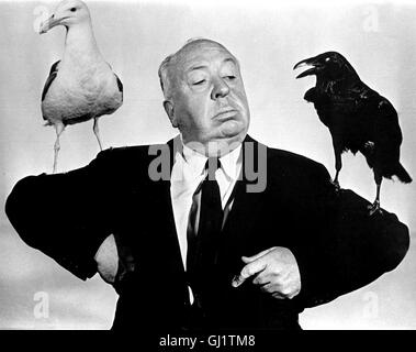 ALFRED HITCHCOCK (Bild aus Dem Film "Vögel sterben") - die Meister der Spannung. Film Still - Porträt mit Vögel Regie: Tim Kirby Stockfoto