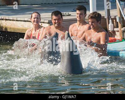 Grassy Key, Florida Keys Dolphin Research Center, Besucher mit den Delphinen schwimmen plantschen Stockfoto