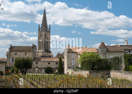 Reben vor Saint-Émilion Monolithic Kirche, Saint-Émilion, Gironde, Frankreich. Stockfoto