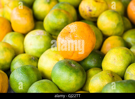 Mandarina Local - Orangen zum Verkauf. Eine Darstellung der besprühte lokalen Orangen in einem Obstmarkt.  Viel gelb und grün. Stockfoto