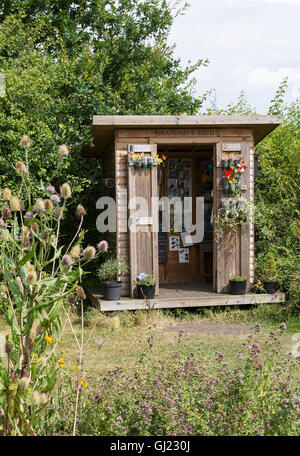 Opa ist im alten Moor RSPB Reserve zusammen mit Karde Pflanze Dearne Valley Barnsley Yorksire England Vereinigtes Königreich UK vergossen. Stockfoto