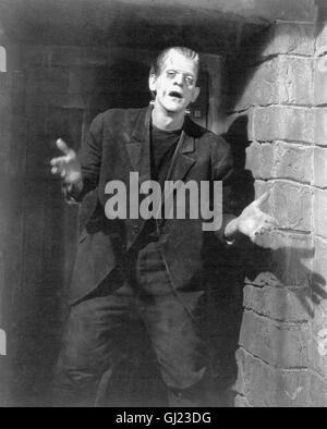 Frankenstein-USA 1931-Regie: James Whale Szene: Das Monster (BORIS KARLOFF) Stockfoto