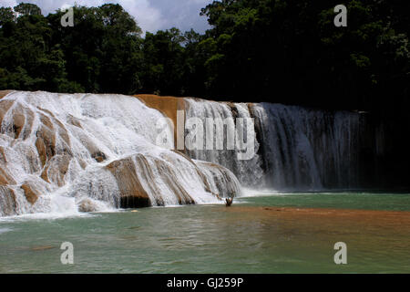 Agua Azul Chiapas Mexiko Brian McGuire Stockfoto