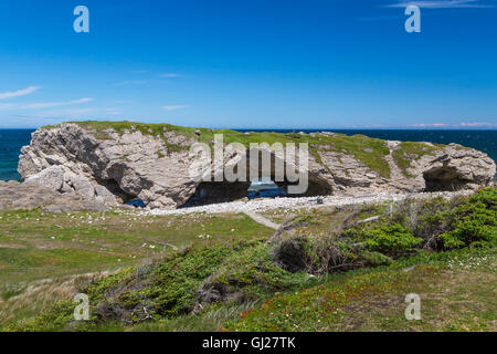 Arches Provincial Park auf der nördlichen Halbinsel, Neufundland und Labrador, Kanada. Stockfoto