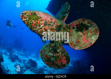 Wrack der Salem Express vor Safaga und Taucher am Wrack in der Nähe von Propeller, Safaga, Rotes Meer, Ägypten, Afrika Stockfoto