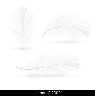 Vogel-Feder handgezeichneten Vektor-Illustration Stock Vektor