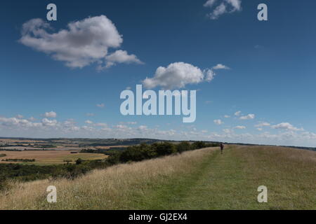 Ein Walker in den Chiltern Hills, Hertfordshire. Stockfoto