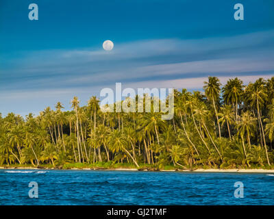 Vollmond über einer palmengesäumten tropischen Inselküste mit Wasser im Vordergrund Stockfoto
